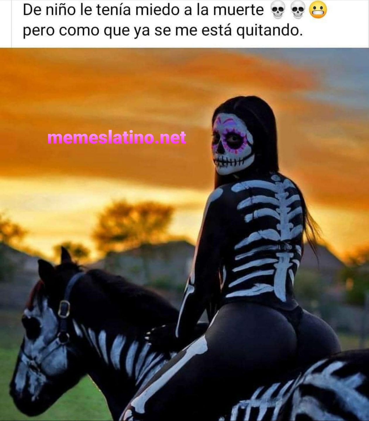 Halloween 🎃