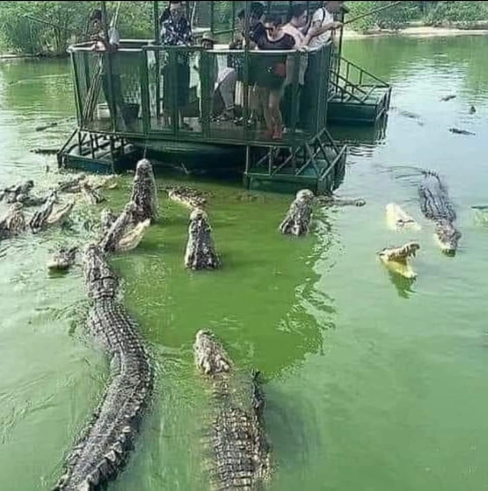 El hombre más valiente del mundo 😂😂😂