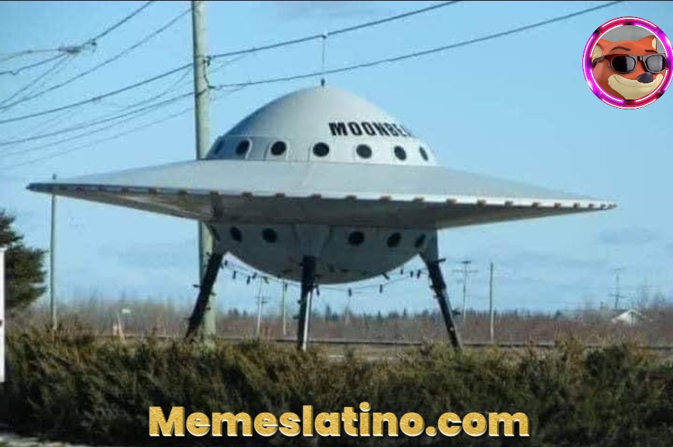 VENDO o cambio OVNI 2019